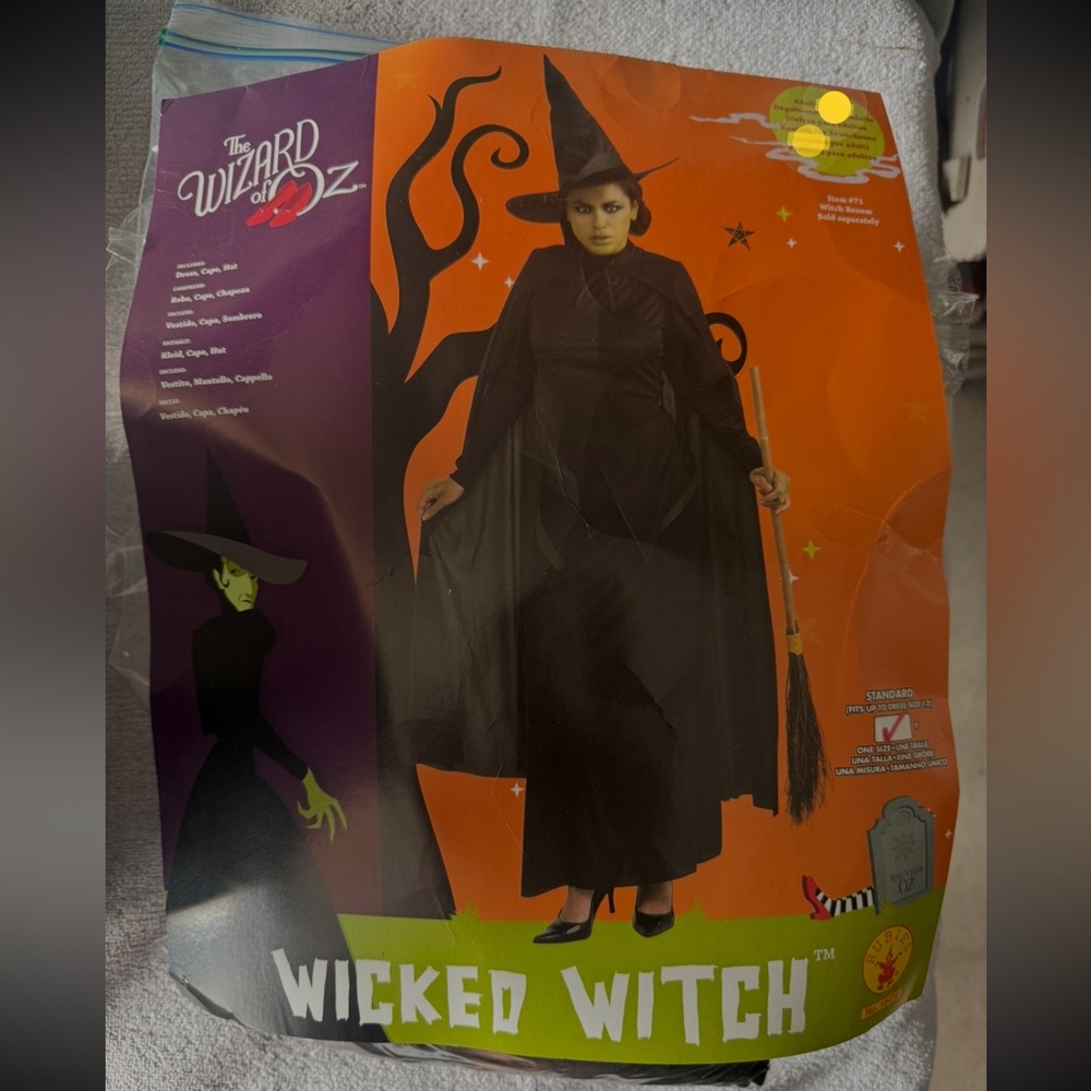 Wicked Witch Costume